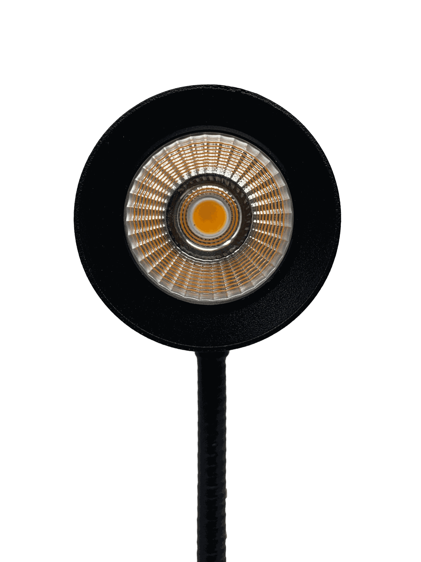 Omnilux LED module picture