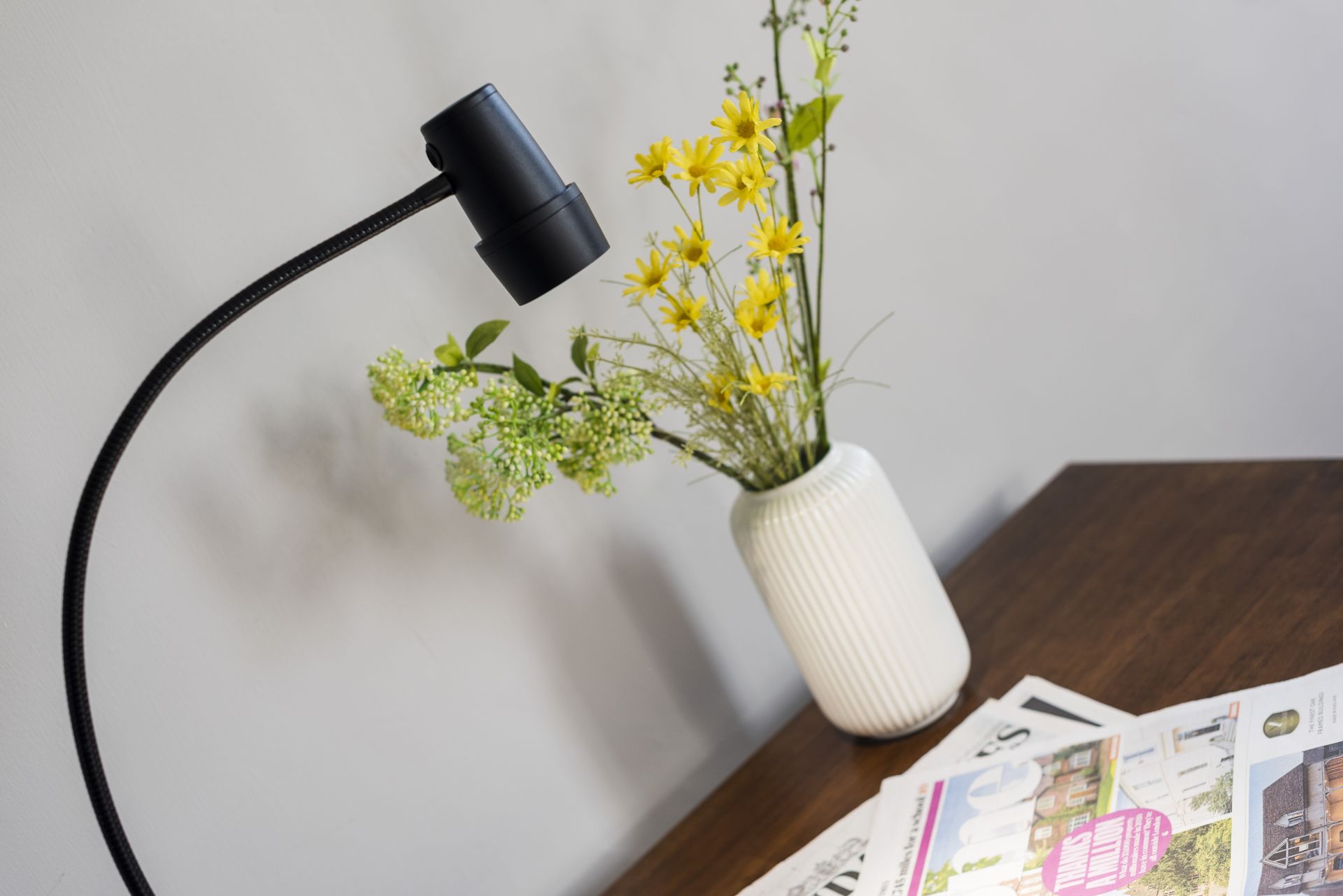 Omnilux specialist reading light picture